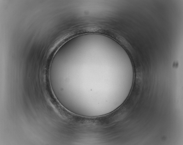 X0000111250626200907091424