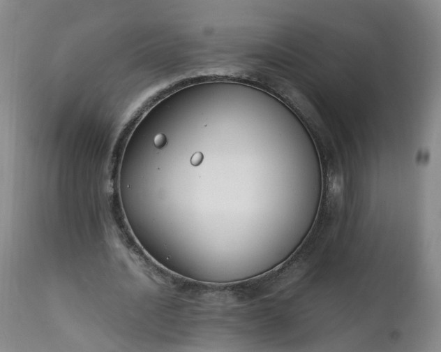 X0000111250628200907091424