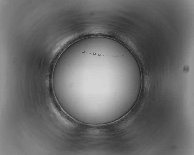 X0000111250629200907091424