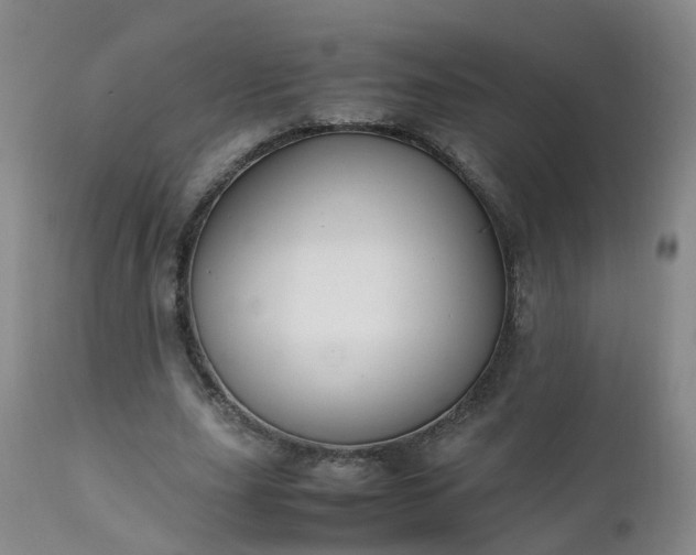 X0000111250631200907091424