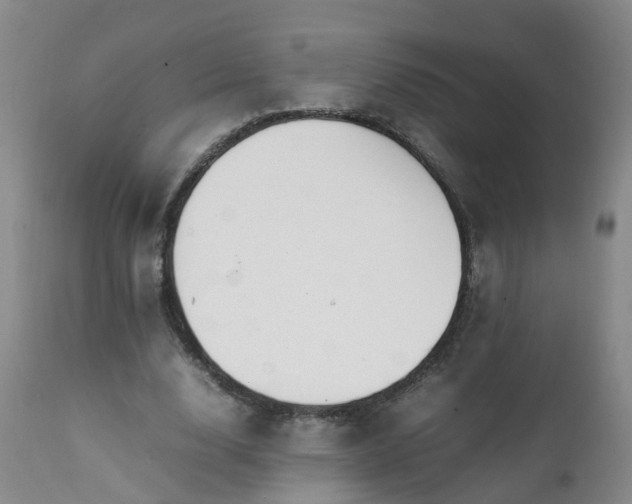 X0000111250632200907091424