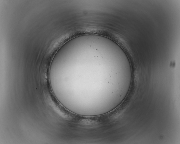 X0000111250633200907091424