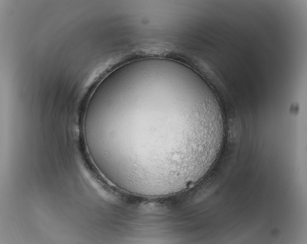 X0000111250634200907091424