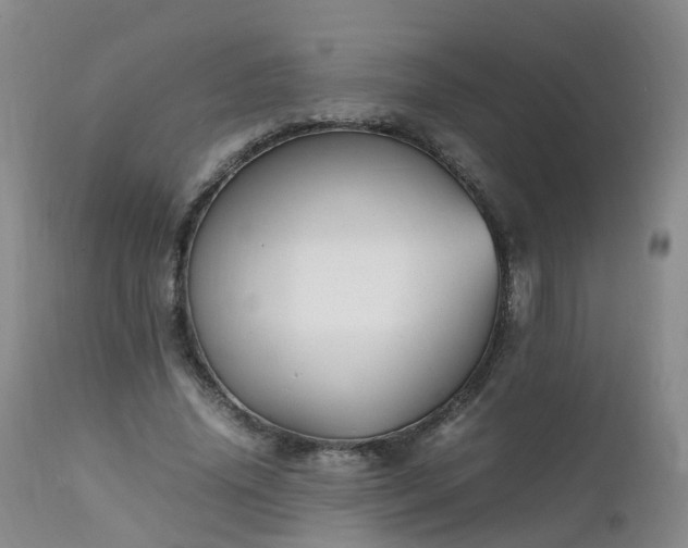 X0000111250636200907091425