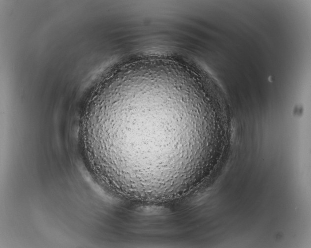 X0000111250637200907091425