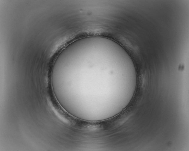 X0000111250638200907091425