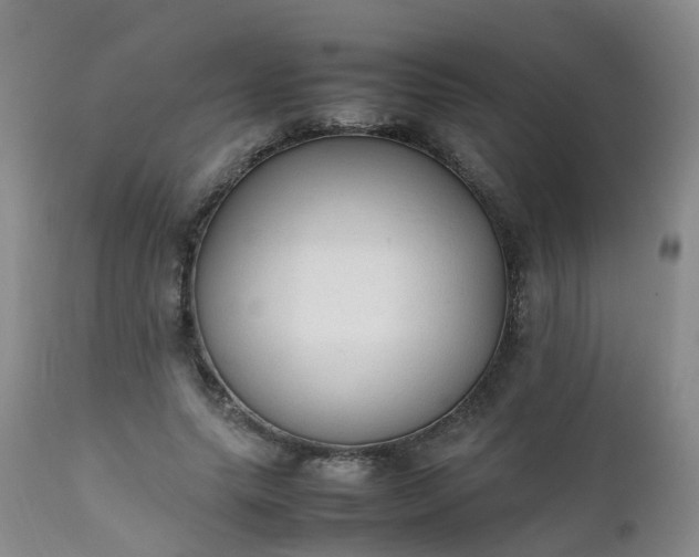 X0000111250639200907091425