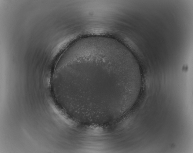 X0000111250640200907091425