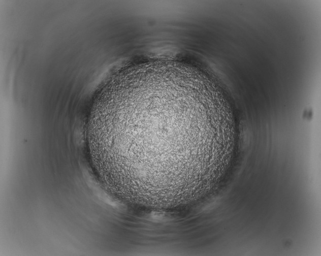 X0000111250641200907091425