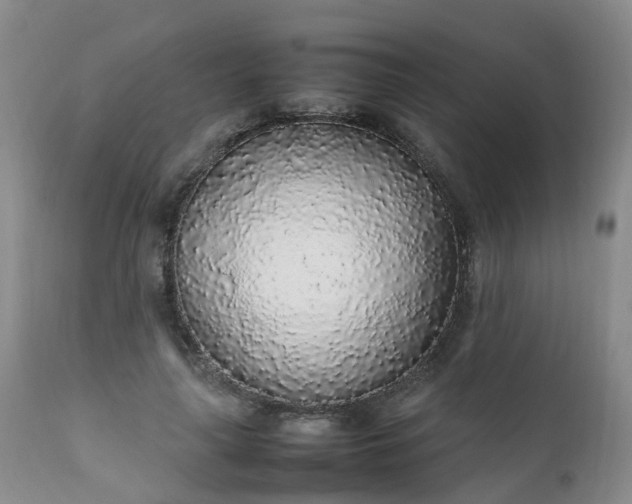 X0000111250643200907091425