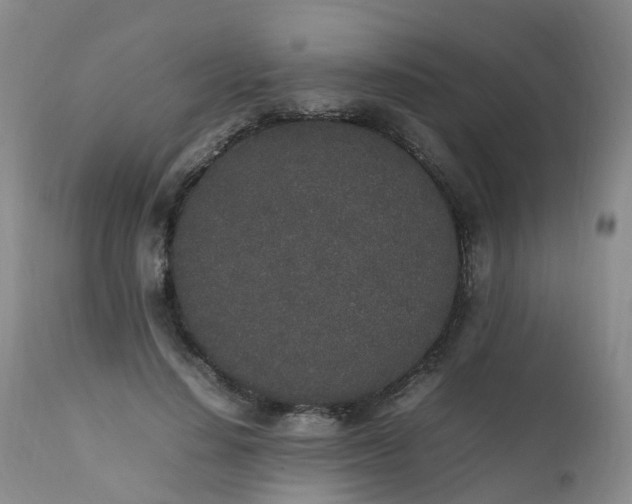 X0000111250644200907091425