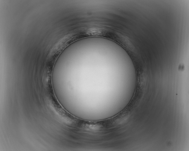 X0000111250645200907091425