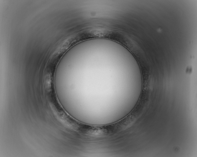 X0000111250646200907091425