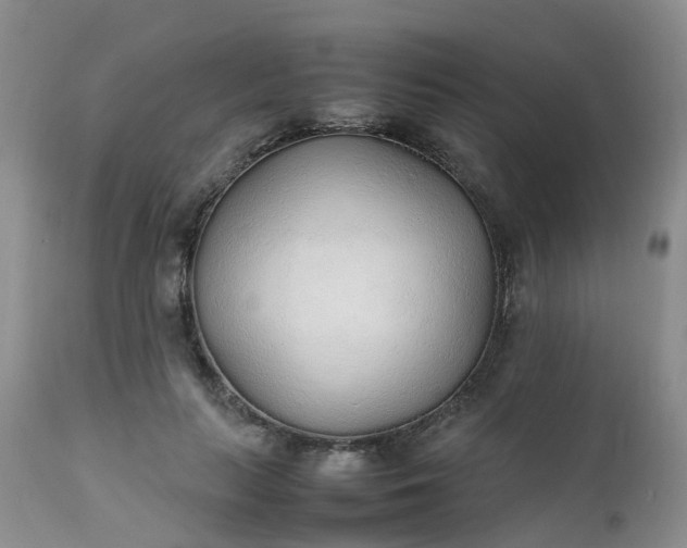 X0000111250647200907091425