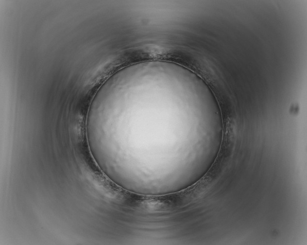 X0000111250650200907091425