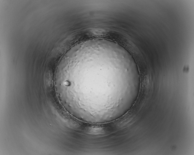 X0000111250651200907091425