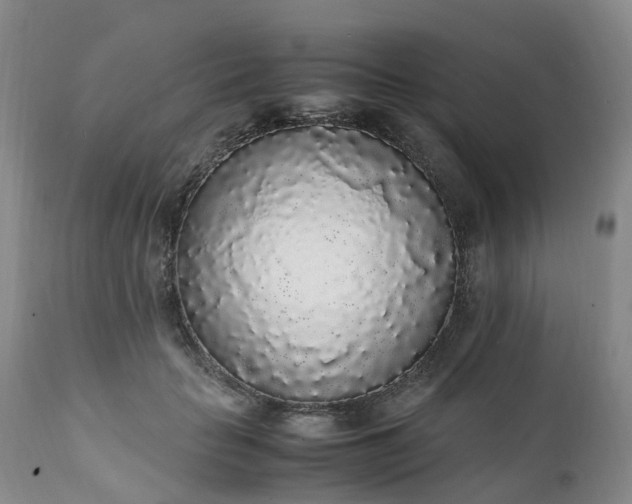 X0000111250653200907091425