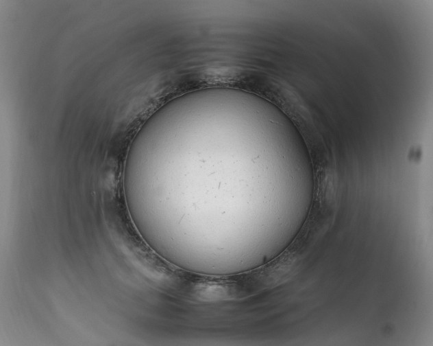 X0000111250655200907091425