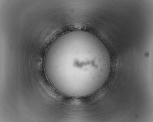 X0000111250656200907091425