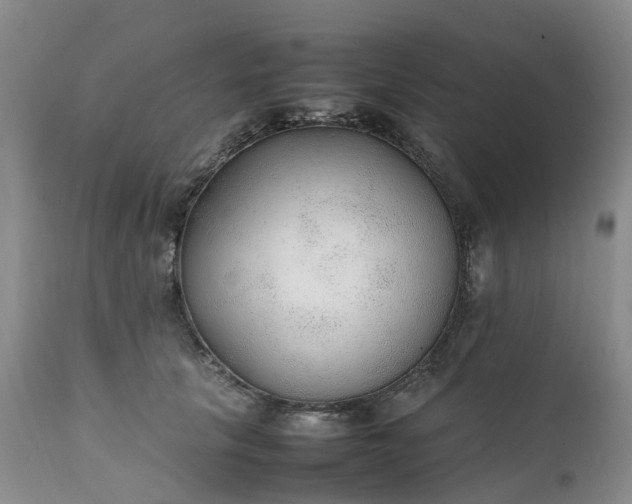 X0000111250657200907091425