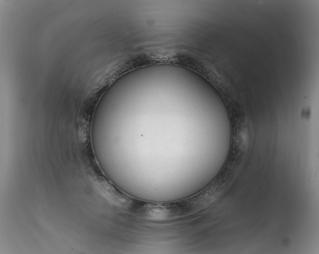 X0000111250658200907091425