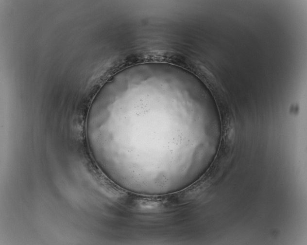 X0000111250661200907091425