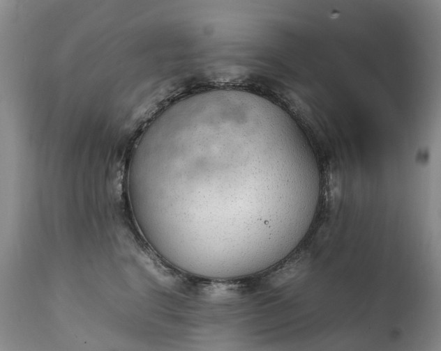 X0000111250664200907091425