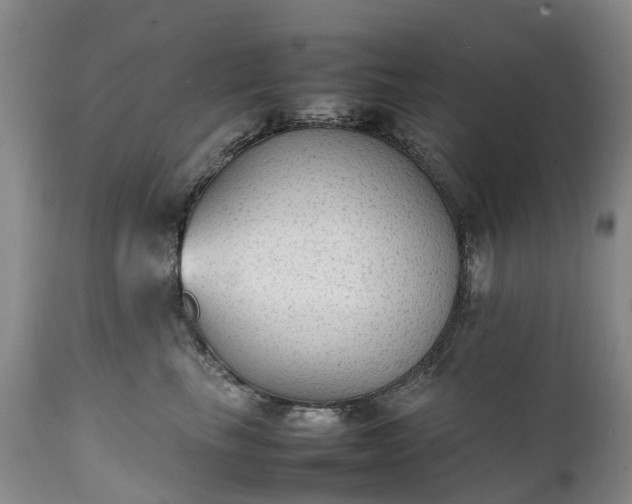 X0000111250665200907091425