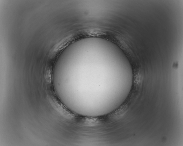 X0000111250666200907091425