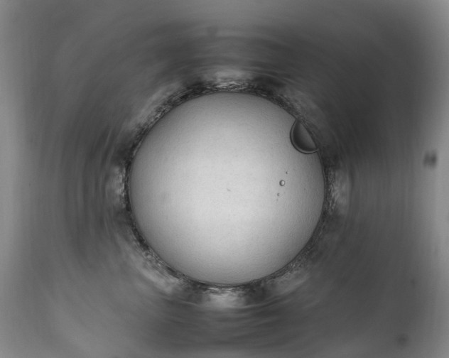 X0000111250667200907091425