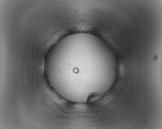 X0000111250668200907091425