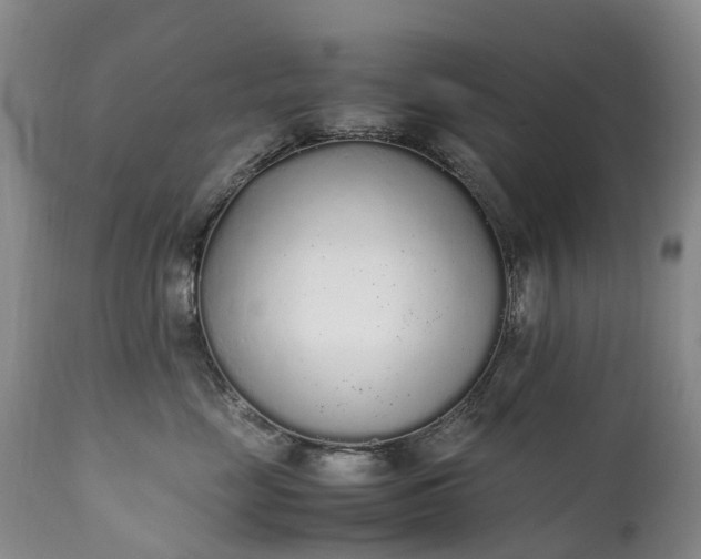 X0000111250669200907091425