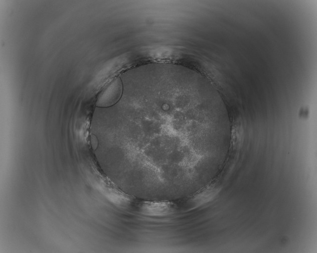 X0000111250671200907091425