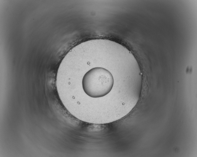 X0000111250672200907091425