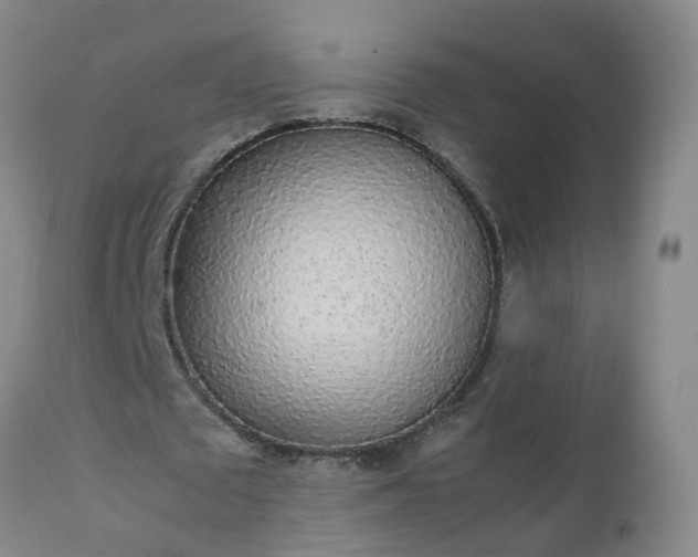 X0000111250673200907091424