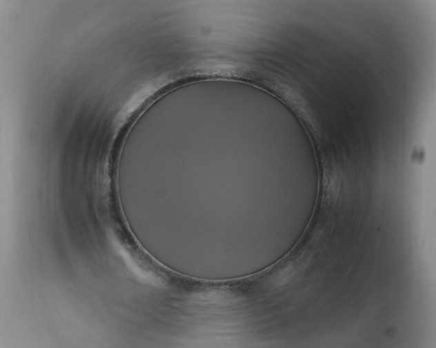 X0000111250674200907091424