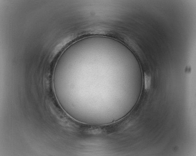 X0000111250675200907091424