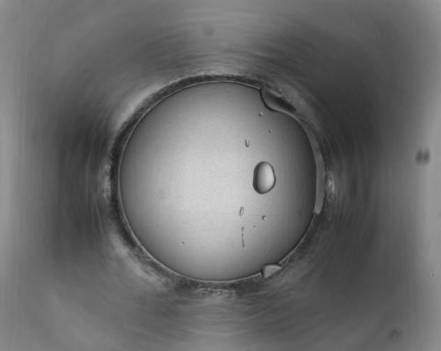 X0000111250676200907091424