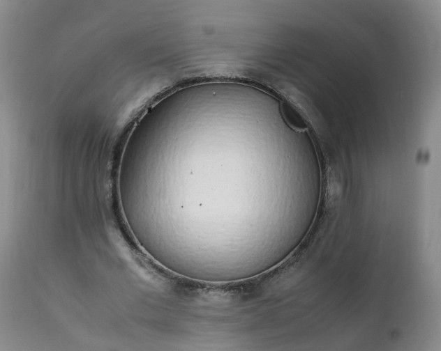 X0000111250677200907091424