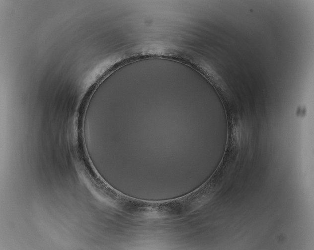 X0000111250678200907091424