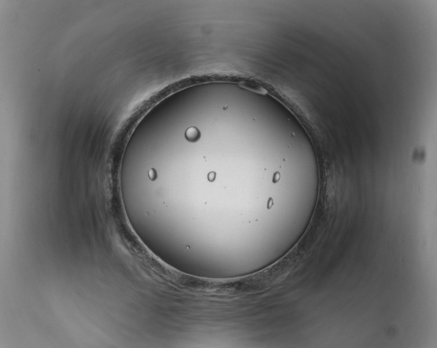 X0000111250680200907091424