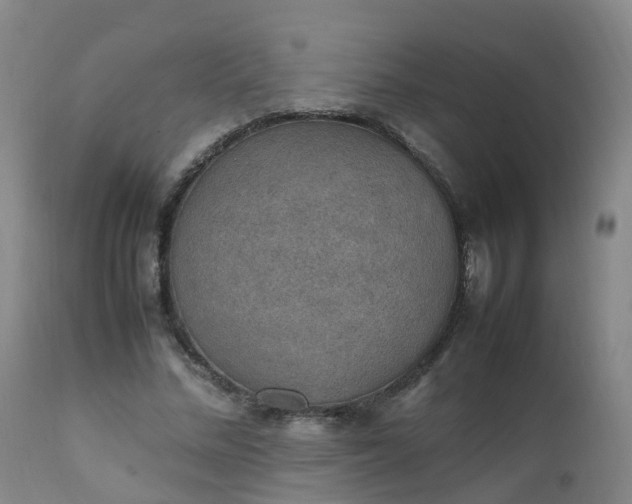 X0000111250684200907091424