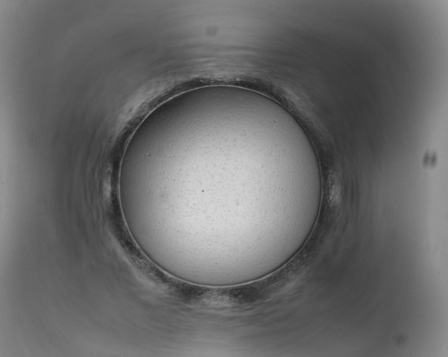 X0000111250685200907091424