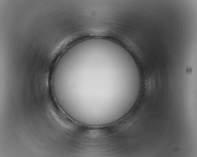 X0000111250686200907091424