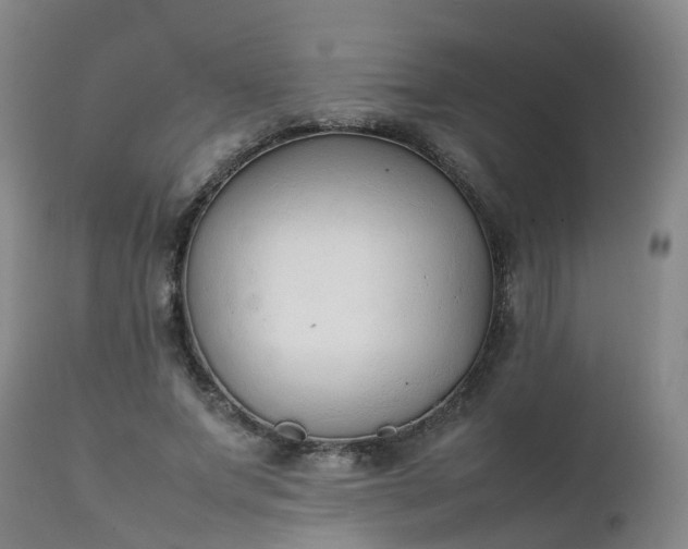 X0000111250687200907091424