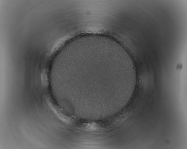 X0000111250688200907091424