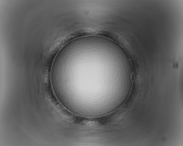 X0000111250689200907091424