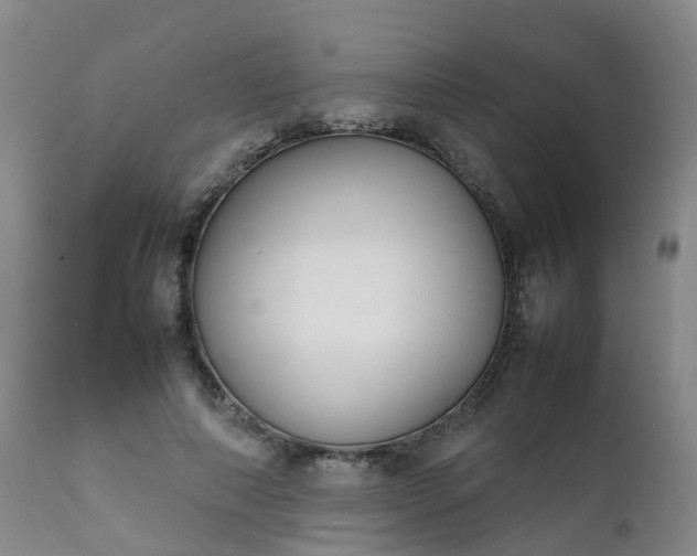 X0000111250690200907091424