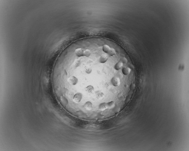 X0000111250691200907091424