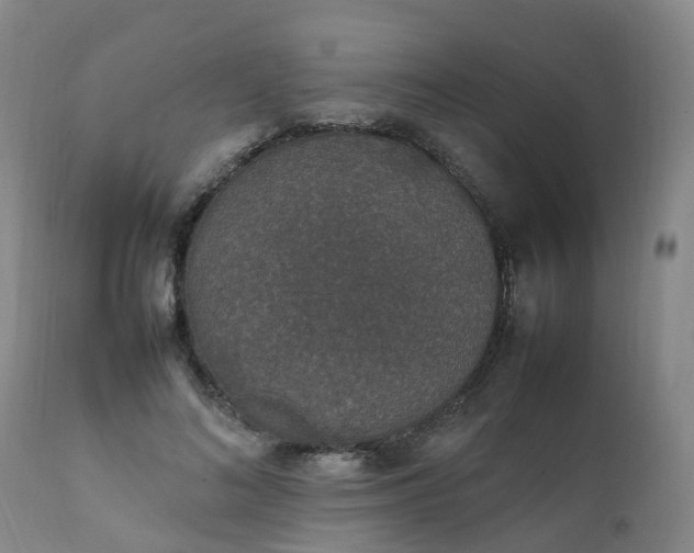 X0000111250692200907091424